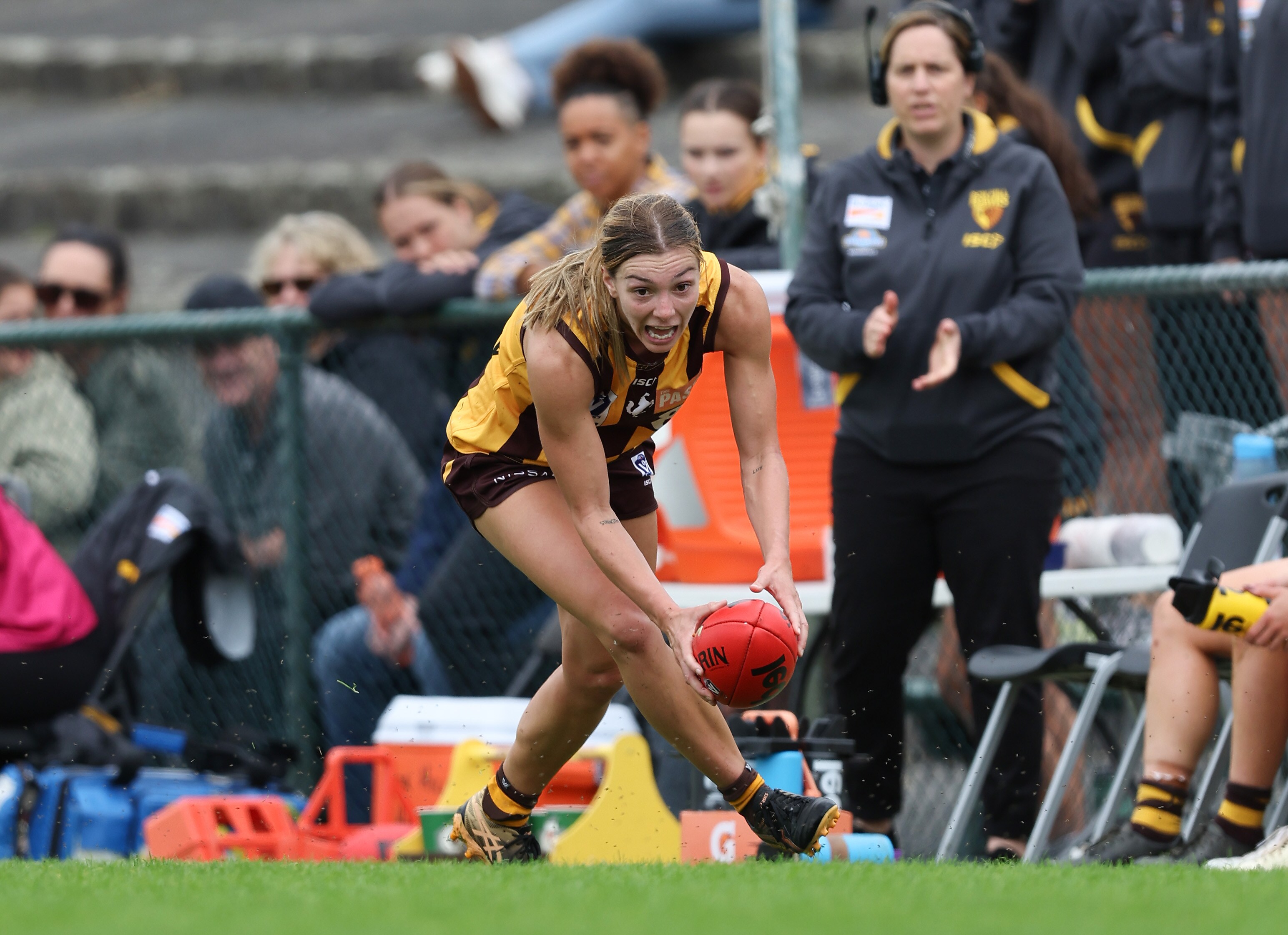 Fellows sets sights on first week of pre-season
