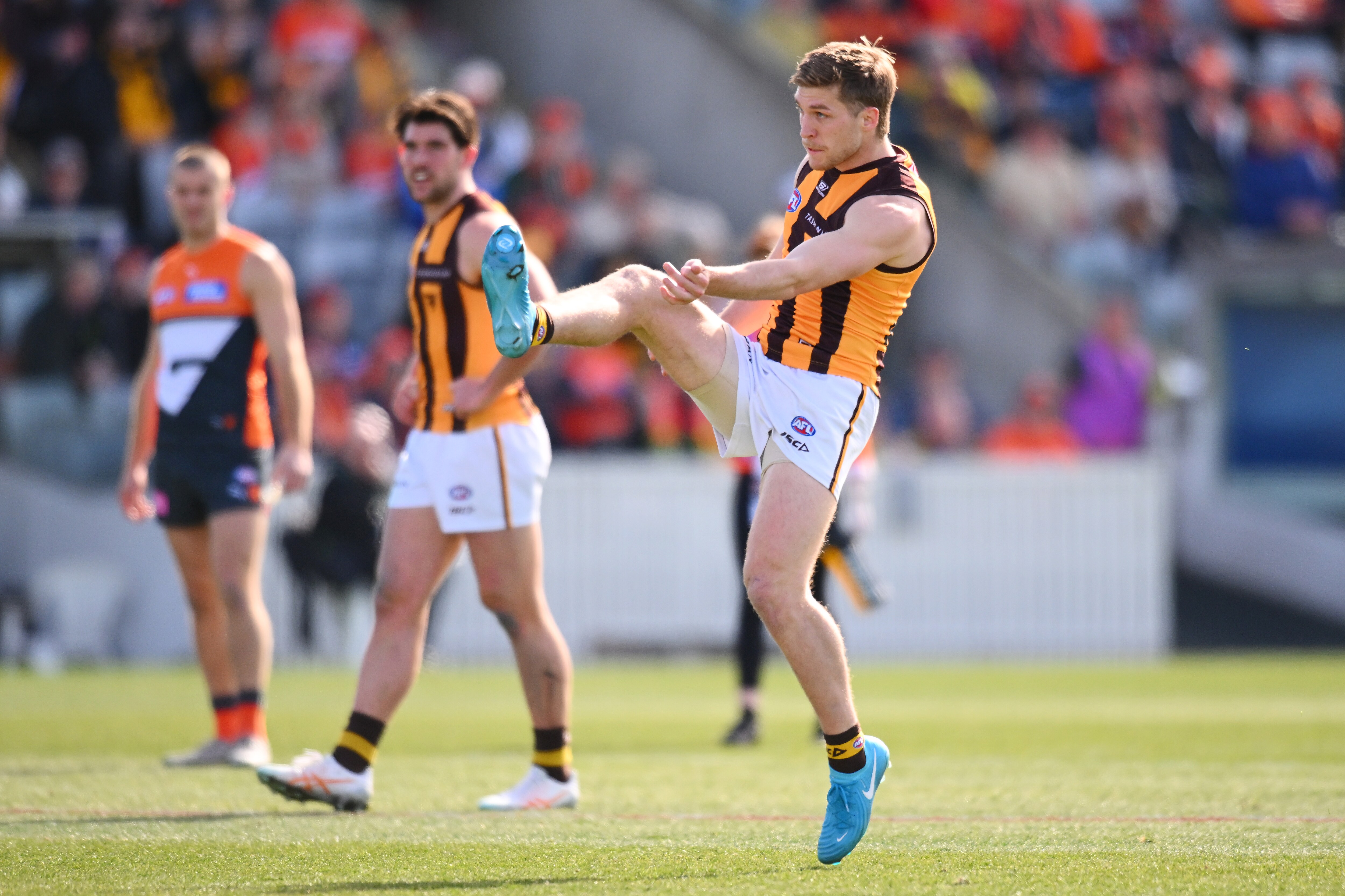 Hawks pair poll coaches' votes in Canberra