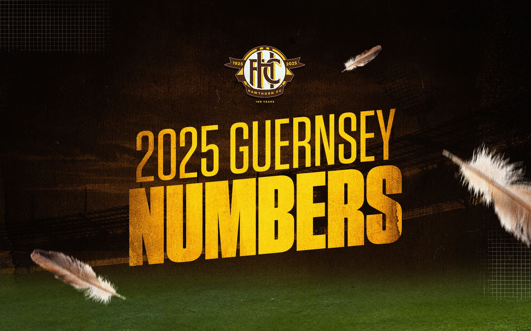 【海外Ｌサイズ】AFL ホーソーン・ホークス 2025 アウェイガーンジー 海外Lサイズ】AFL ホーソーン・ホークス 2025 アウェイ