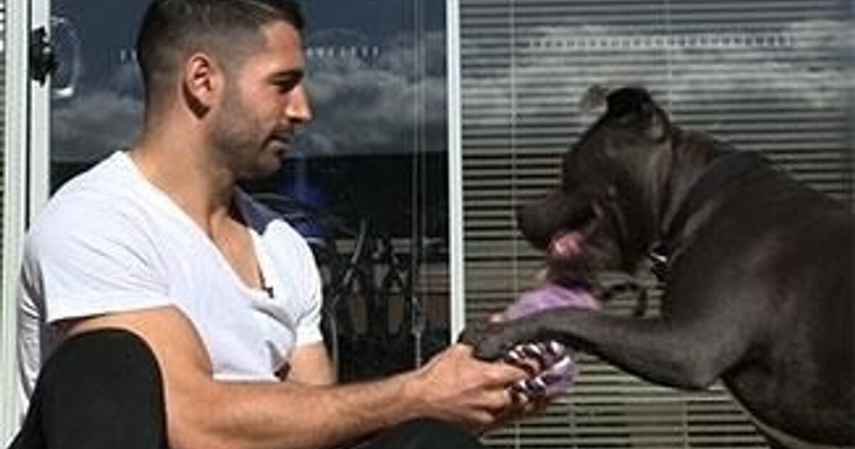 behindtheplay Paul Puopolo & Hugo