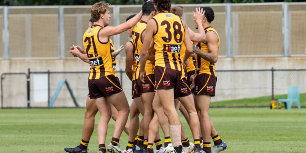 Hawks see off Swans in VFL season opener - Vimarsana News