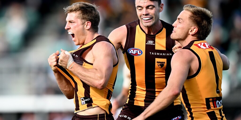 Hawks DOMINATE coaches votes for Round 3 - Vimarsana News