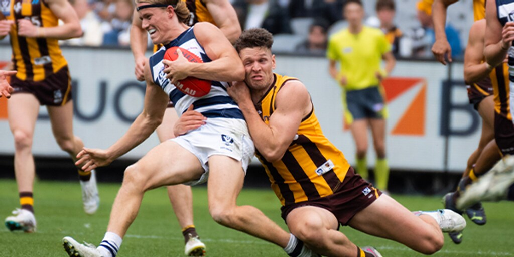 VFL Hawks defeat Cats on MCG - Vimarsana News