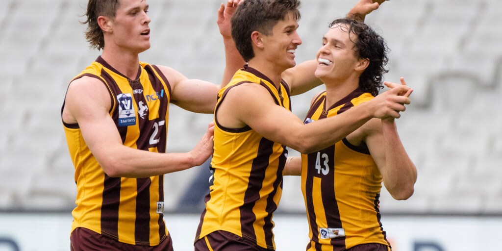 VFL player by player R2: A review of each AFL-listed Hawk - Vimarsana News