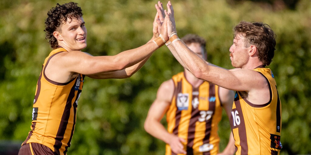 VFL player by player R5: A review of each AFL-listed Hawk - Vimarsana News