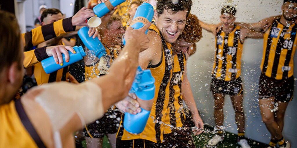 VFL Hawks tame Lions, move to 4-0 - Vimarsana News