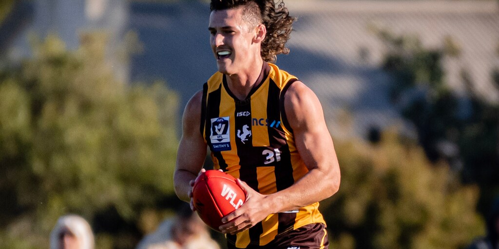VFL player by player R6: Each senior-listed Hawk in review - Vimarsana News