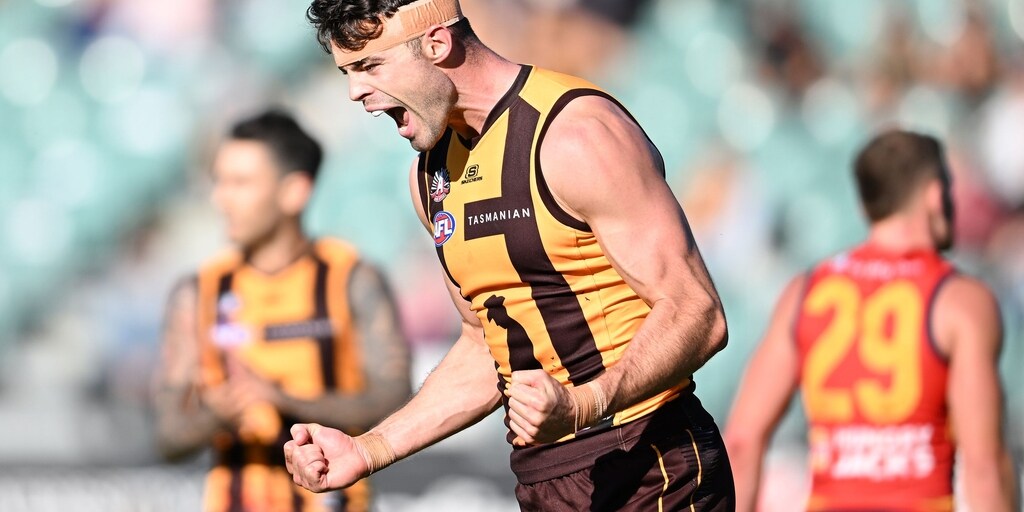 The secret superstar-stopper: Irish Hawk's stunning breakout burst - Vimarsana News