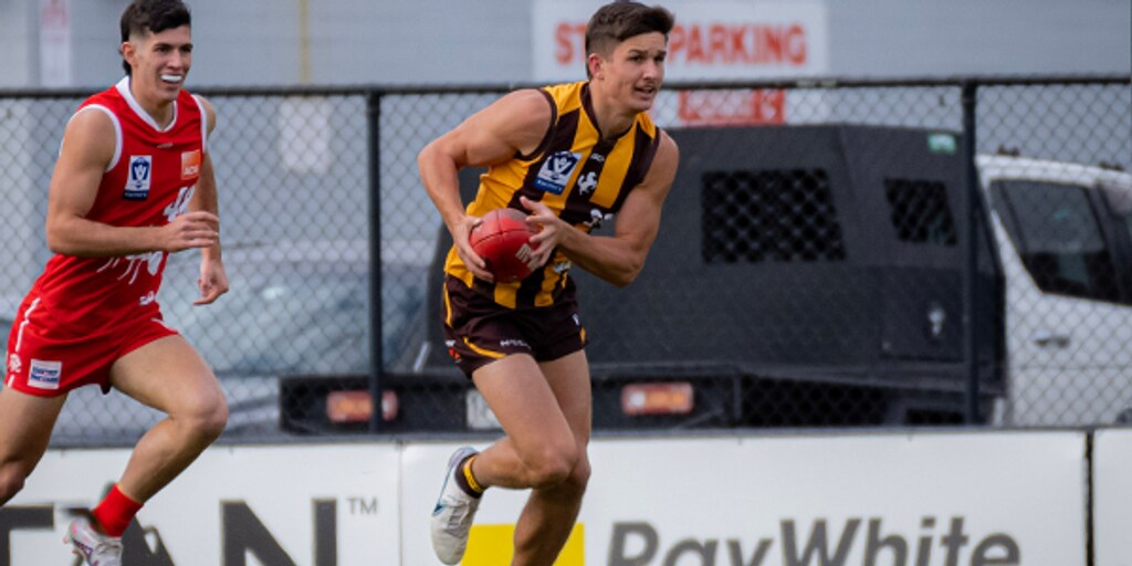 VFL Hawks overcome Ants - Vimarsana News