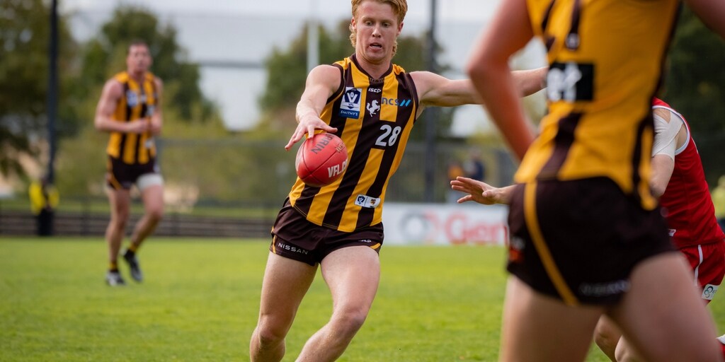 VFL player by player RD7: Each AFL-listed Hawk in review - Vimarsana News
