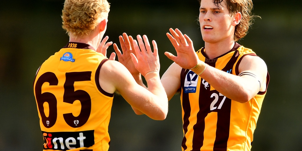 VFL Match Report: Hawks Sink Sharks - Vimarsana News