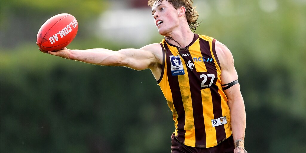 VFL Hawks ground Bombers - Vimarsana News