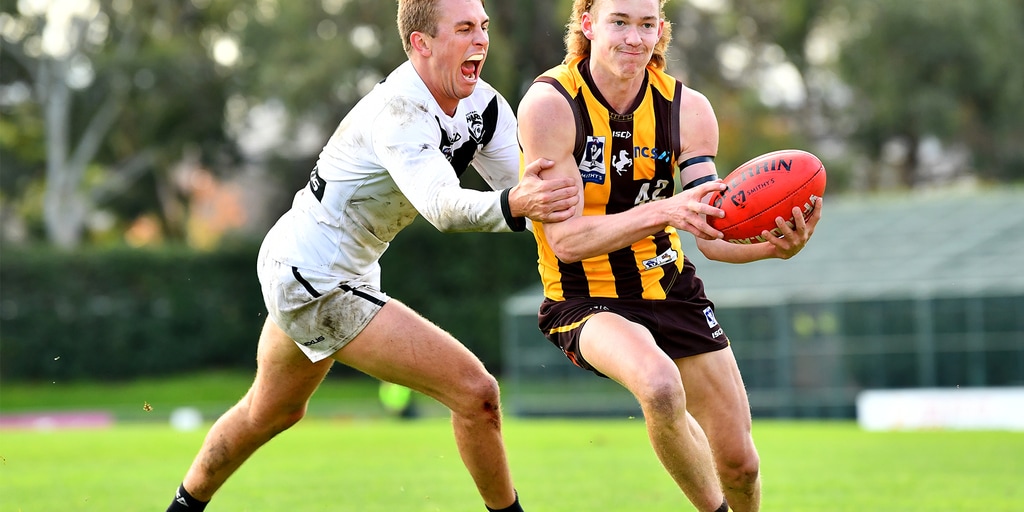 VFL player by player RD10: Each AFL-listed Hawk in review - Vimarsana News