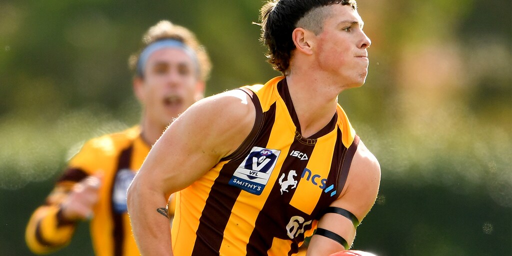 VFL Round 11 match report: Gulls down Hawks - Vimarsana News