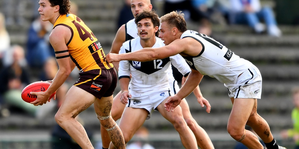 VFL player by player RD11: Each AFL-listed Hawk in review - Vimarsana News