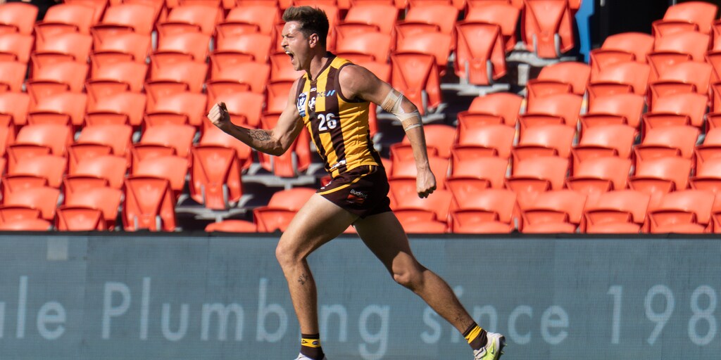 VFL player by player R14: A review of each AFL-listed Hawk - Vimarsana News