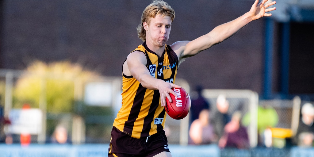 VFL player by player: Which AFL Hawks starred? - Vimarsana News
