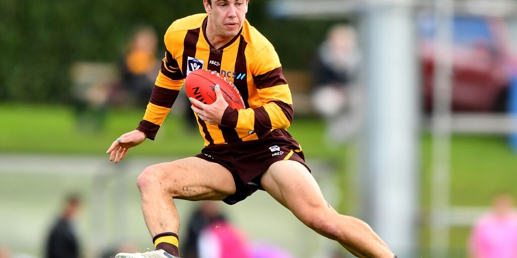 VFL match report: Hawks edge Tigers in thriller - Vimarsana News