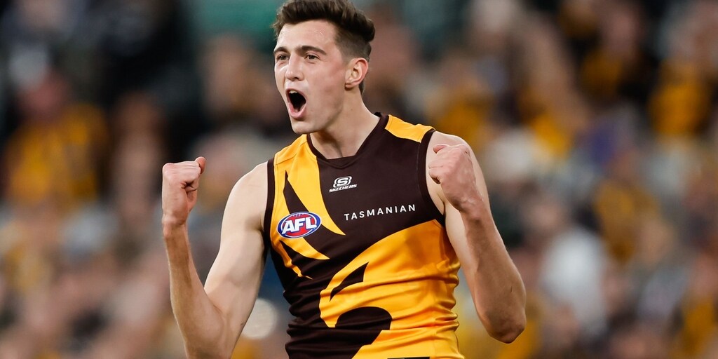'I can't believe this is real': Hawk pinching himself after rapid rise - Vimarsana News