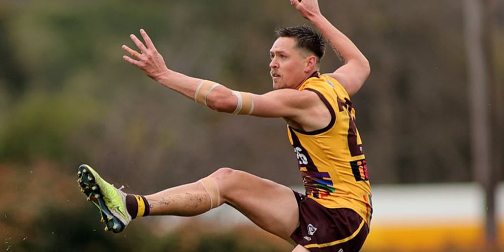 VFL Player by Player: Each AFL Hawk in review - Vimarsana News