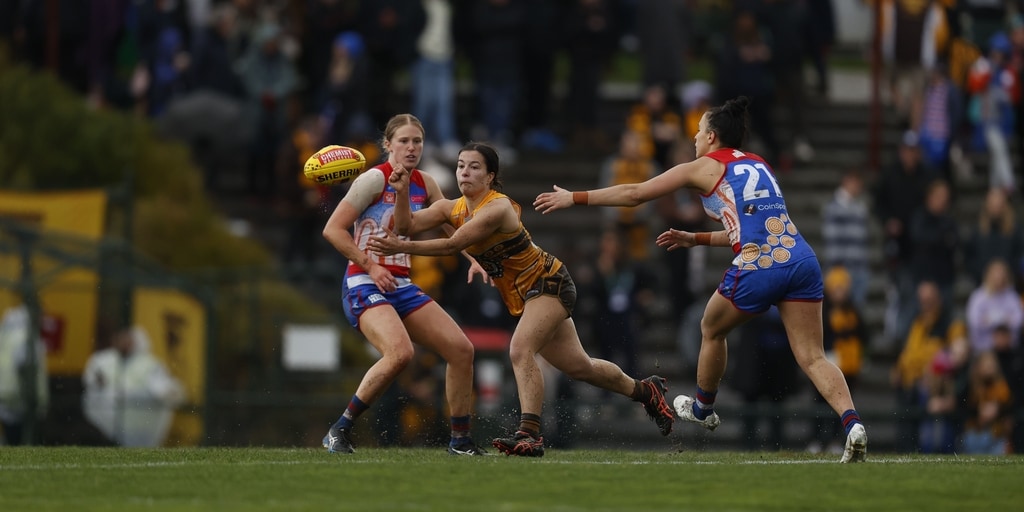Hawthorn farewells Barbakos - Vimarsana News