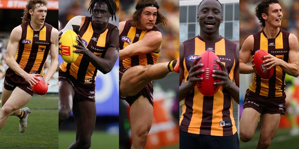 The Hawks to watch in 2024 - Vimarsana News