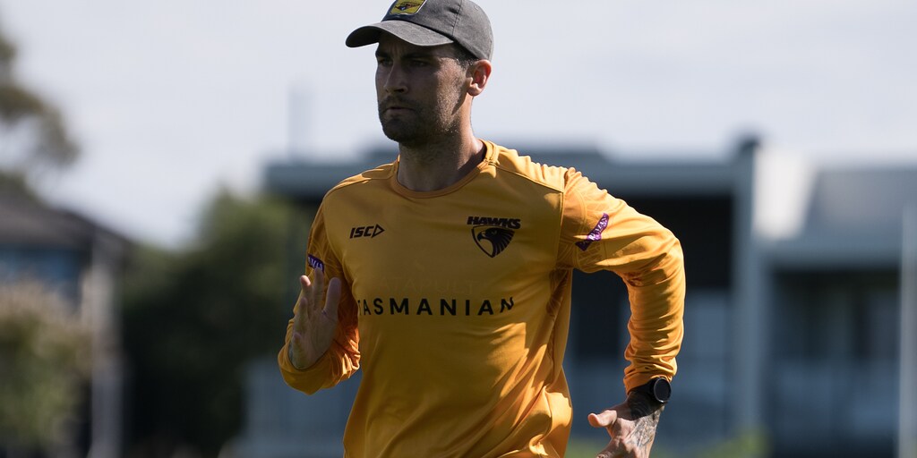 Injury update: The latest on several star Hawks - Vimarsana News