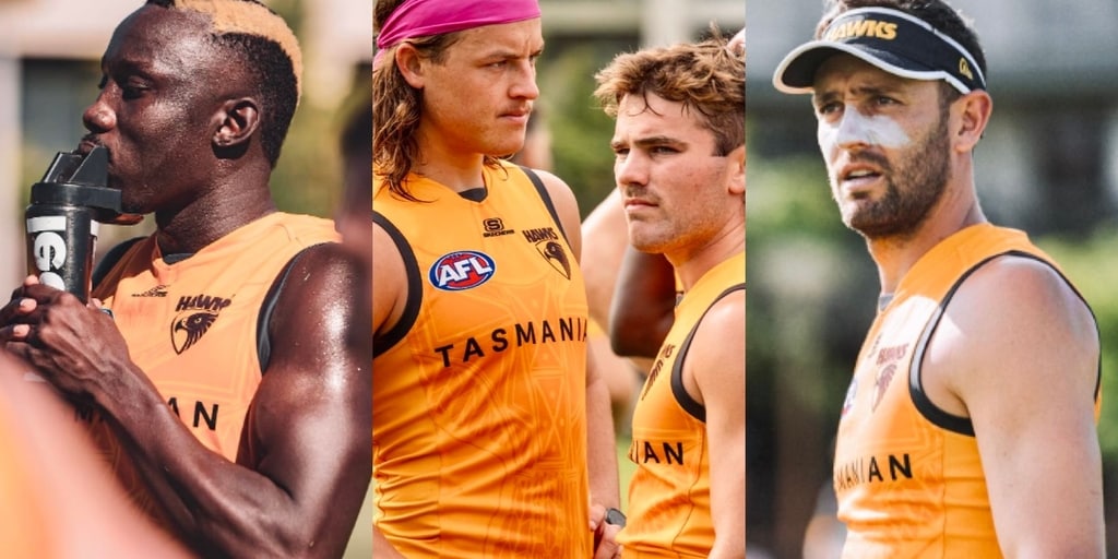How are Hawthorn's forwards tracking? - Vimarsana News