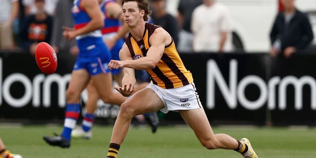 Match sim key takeaways: Which Hawks stood out? - Vimarsana News