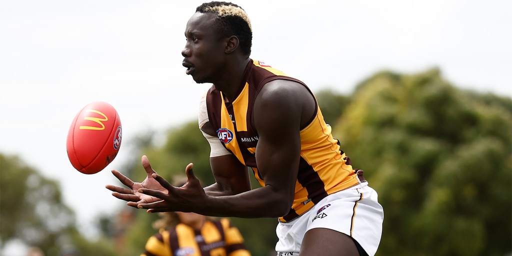 Every forward's 2024 pre-season review - Vimarsana News