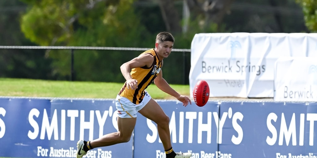 VFL player by player: Which AFL-listed Hawks stood out? - Vimarsana News