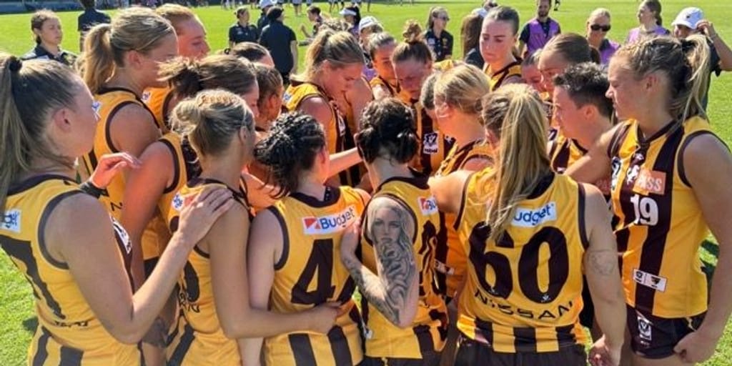 VFLW Match Report: Too strong for the Cats - Vimarsana News