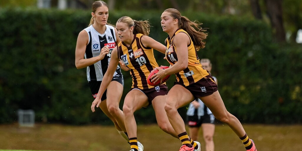 VFLW player by player: 12 AFLW-listed Hawks reviewed - Vimarsana News
