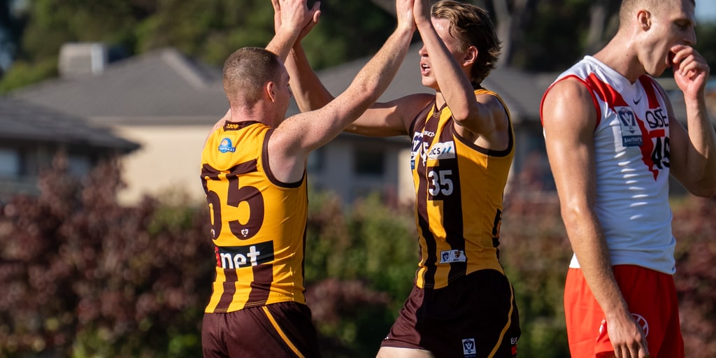 VFL match report: Hawks skittle Swans - Vimarsana News
