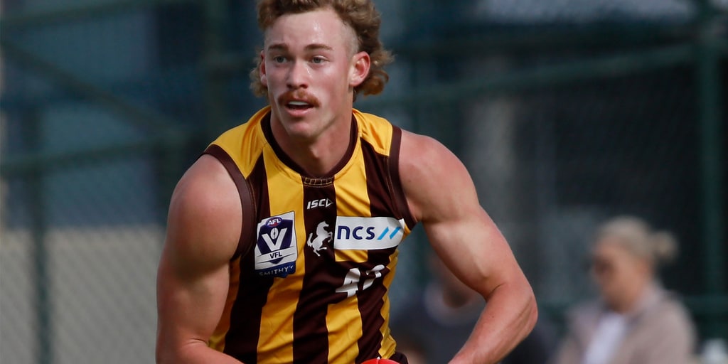 VFL player by player: 10 AFL-listed Hawks reviewed - Vimarsana News