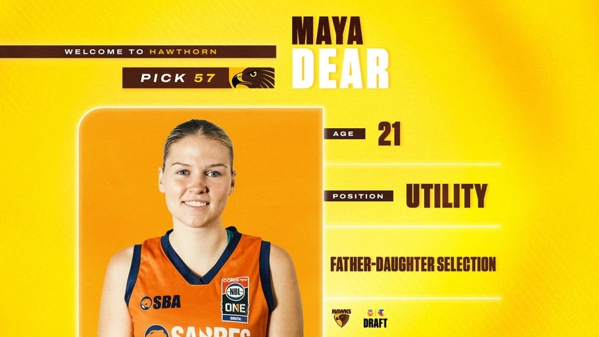 DRAFT NIGHT_MAYA-ARTICLE