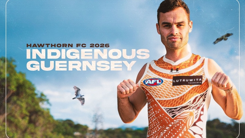 HFC 26 INDIG GUERNSEY SOCIALS ARTICLE