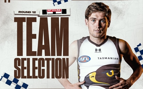 Hawthorn team selection graphic for Round 12