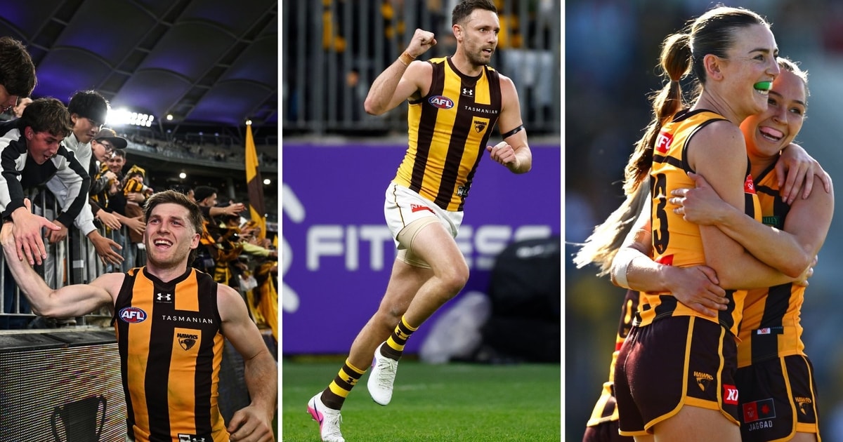 Image via hawthornfc.com.au